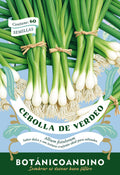 Cebolla de verdeo
