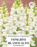 Conejito Blanco - Antirrhinum majus