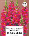 Conejito Fucsia - Antirrhinum majus