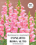 Conejito rosado