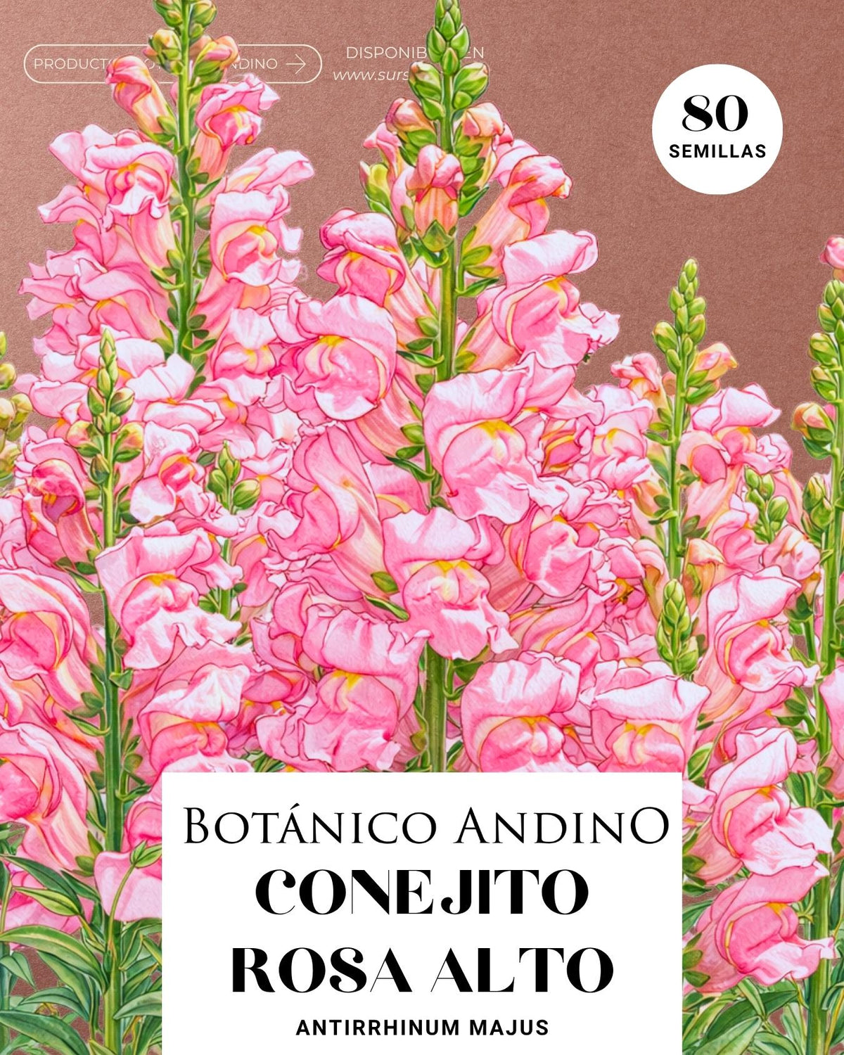 Conejito rosado