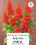 Coral rojo