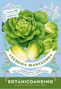 Lechuga mantecosa