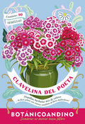 Dianthus barbatus (Pack x 10 sobres)