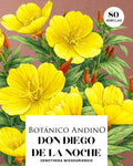 Oenothera missouriensis