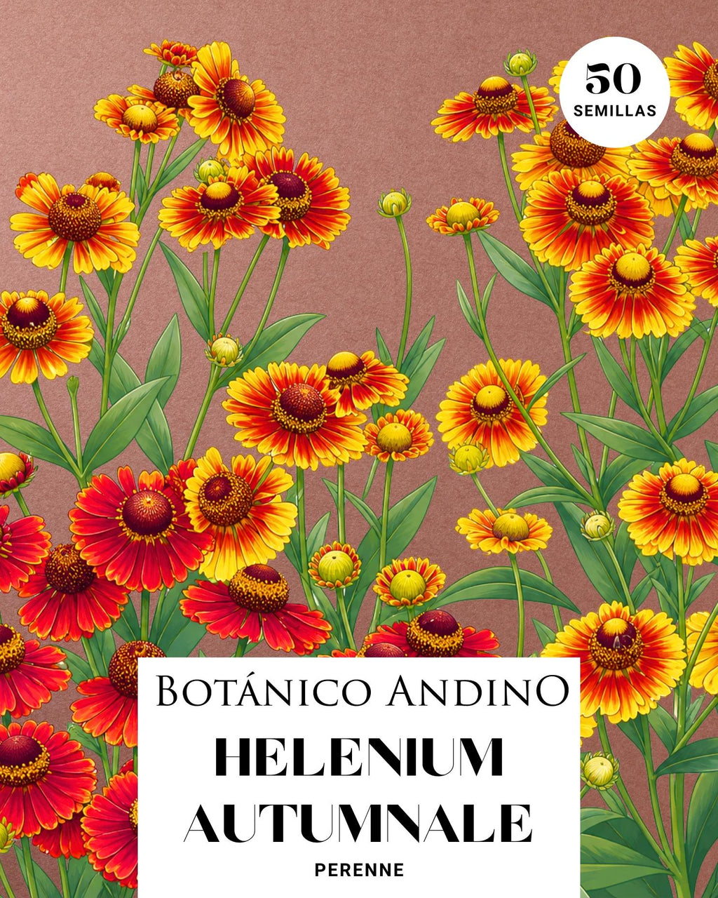 Helenium autumnale (50 semillas)