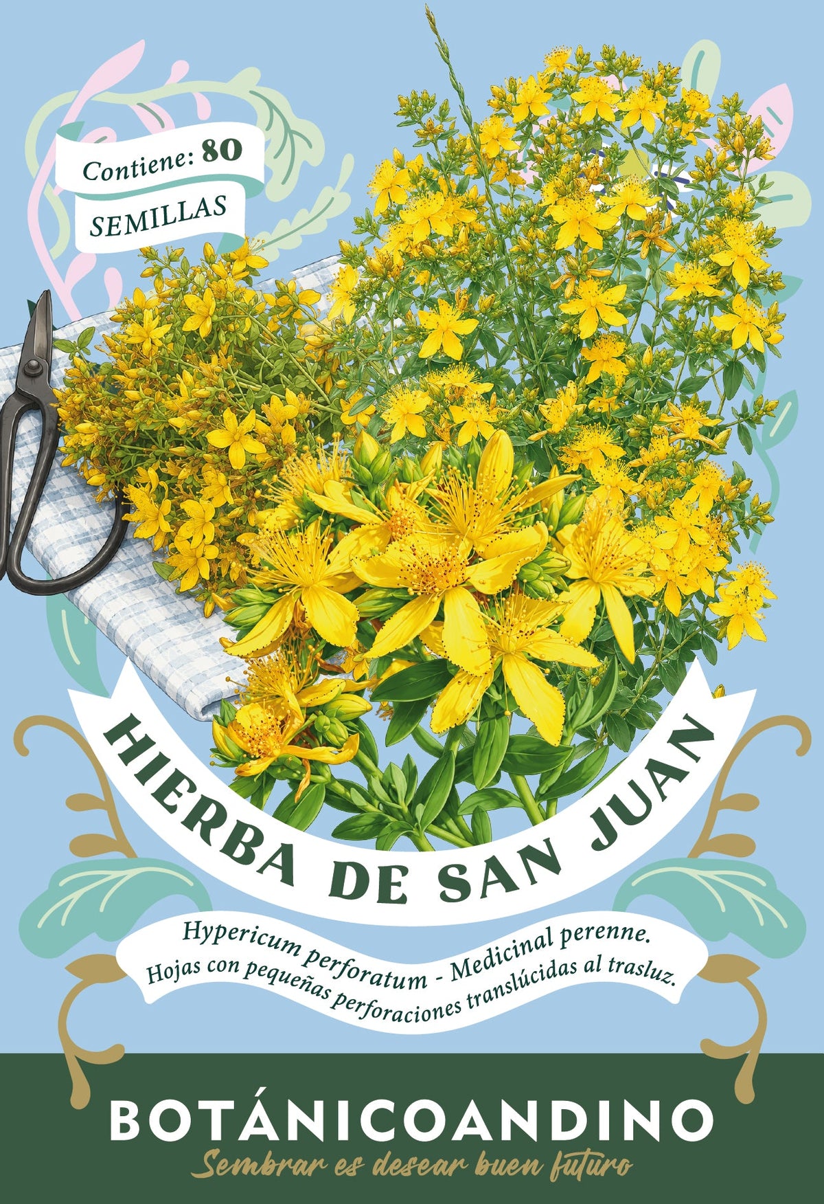 Hierba de San Juan