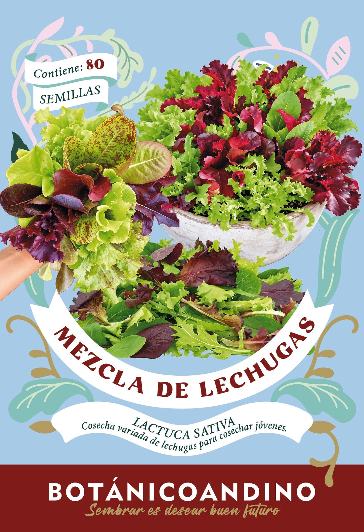 Mix de Lechugas