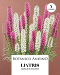 Liatris spicata mix (4 cormos por pack)