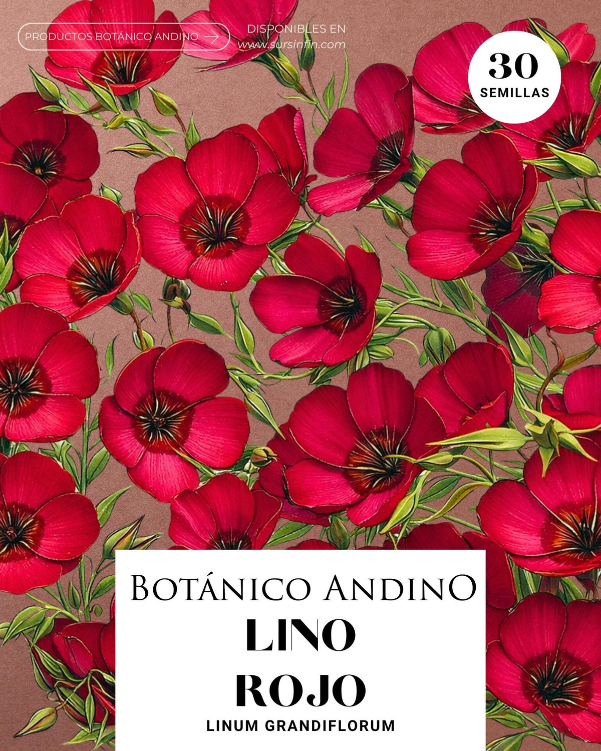 Lino rojo