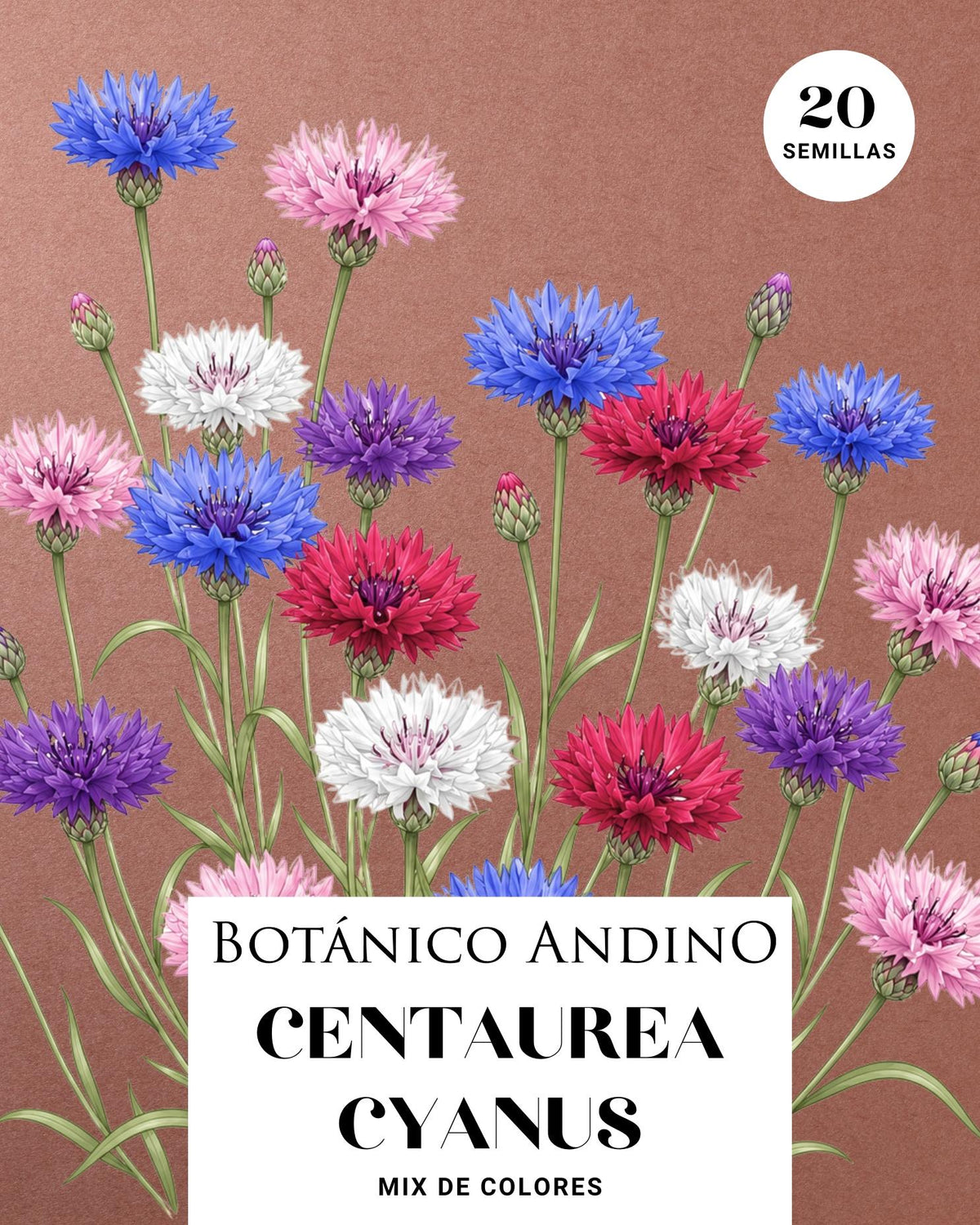 Centaurea cyanus mix