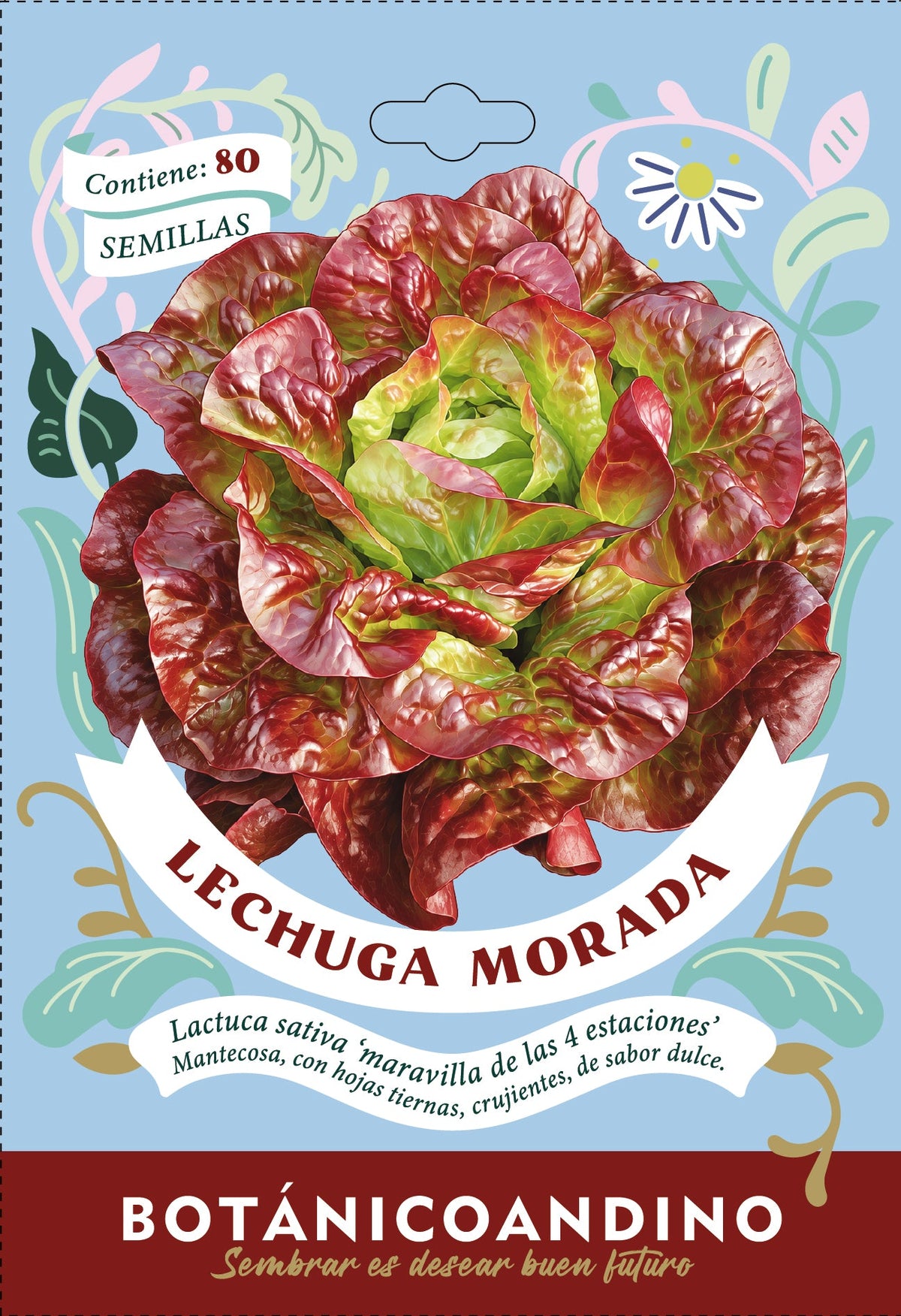 Lechuga maravilla de las 4 estaciones