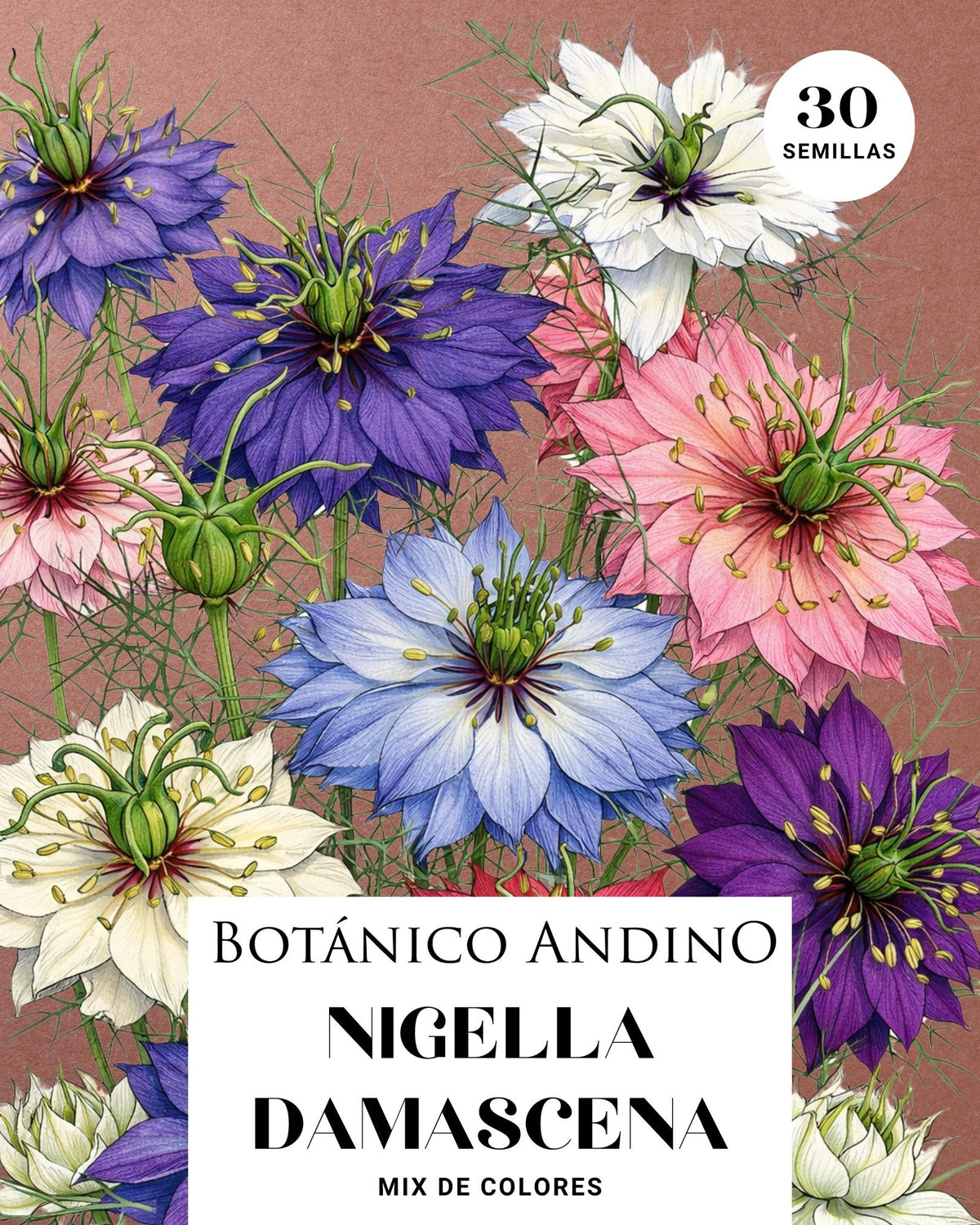 Nigella mix (30 semillas)