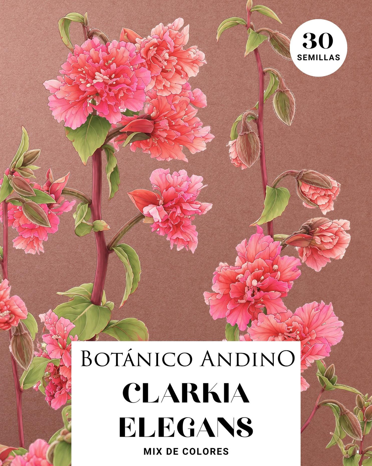Clarkia elegans