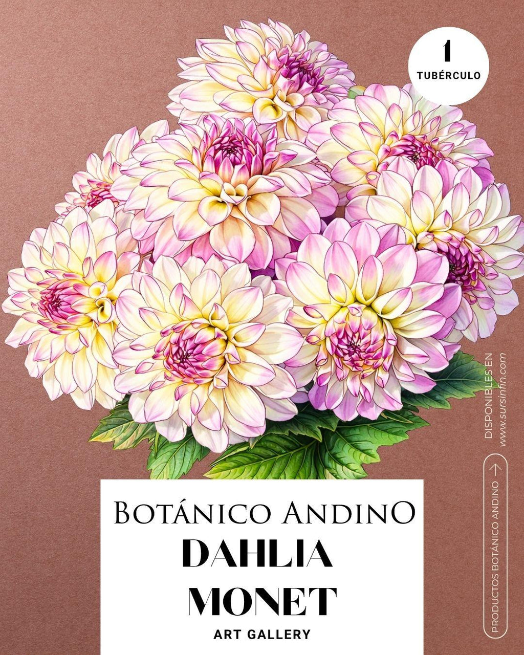 Dahlia Art Gallery | MONET