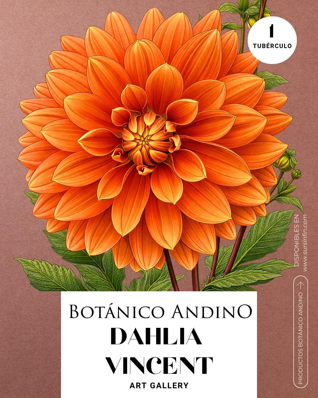 Dahlia Art Gallery | VINCENT
