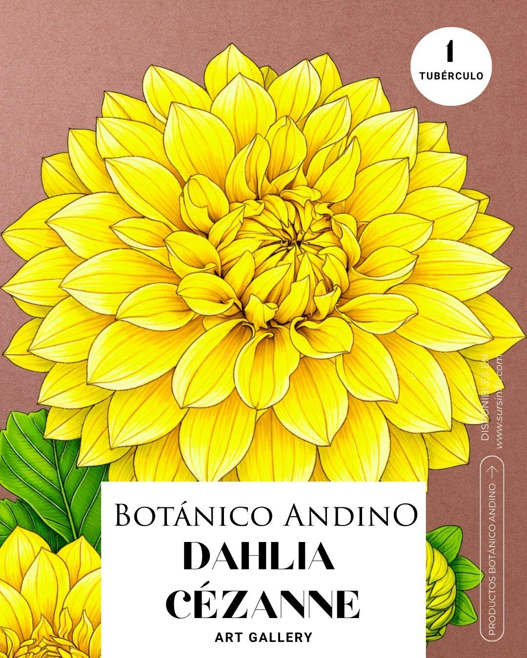 Dahlia Art Gallery | CÉZANNE