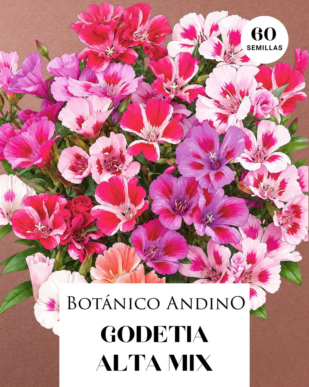 Godetia alta mix