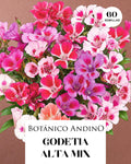 Godetia alta mix
