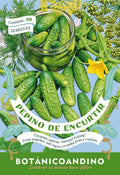 Pepino de encurtir