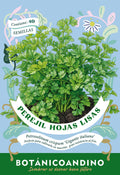 Perejil de hojas lisas