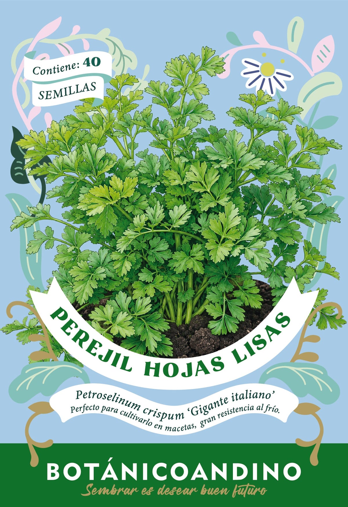 Perejil de hojas lisas