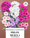Phlox drummondii mix (30 semillas)
