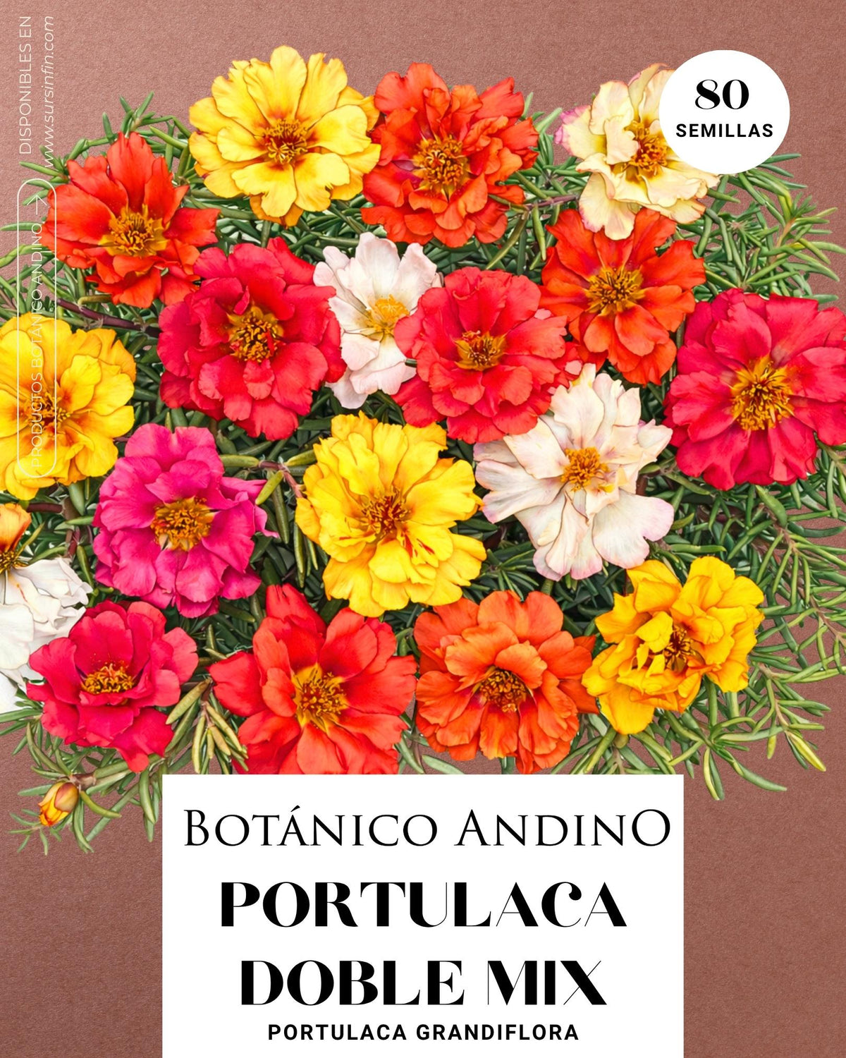 Portulaca doble mix