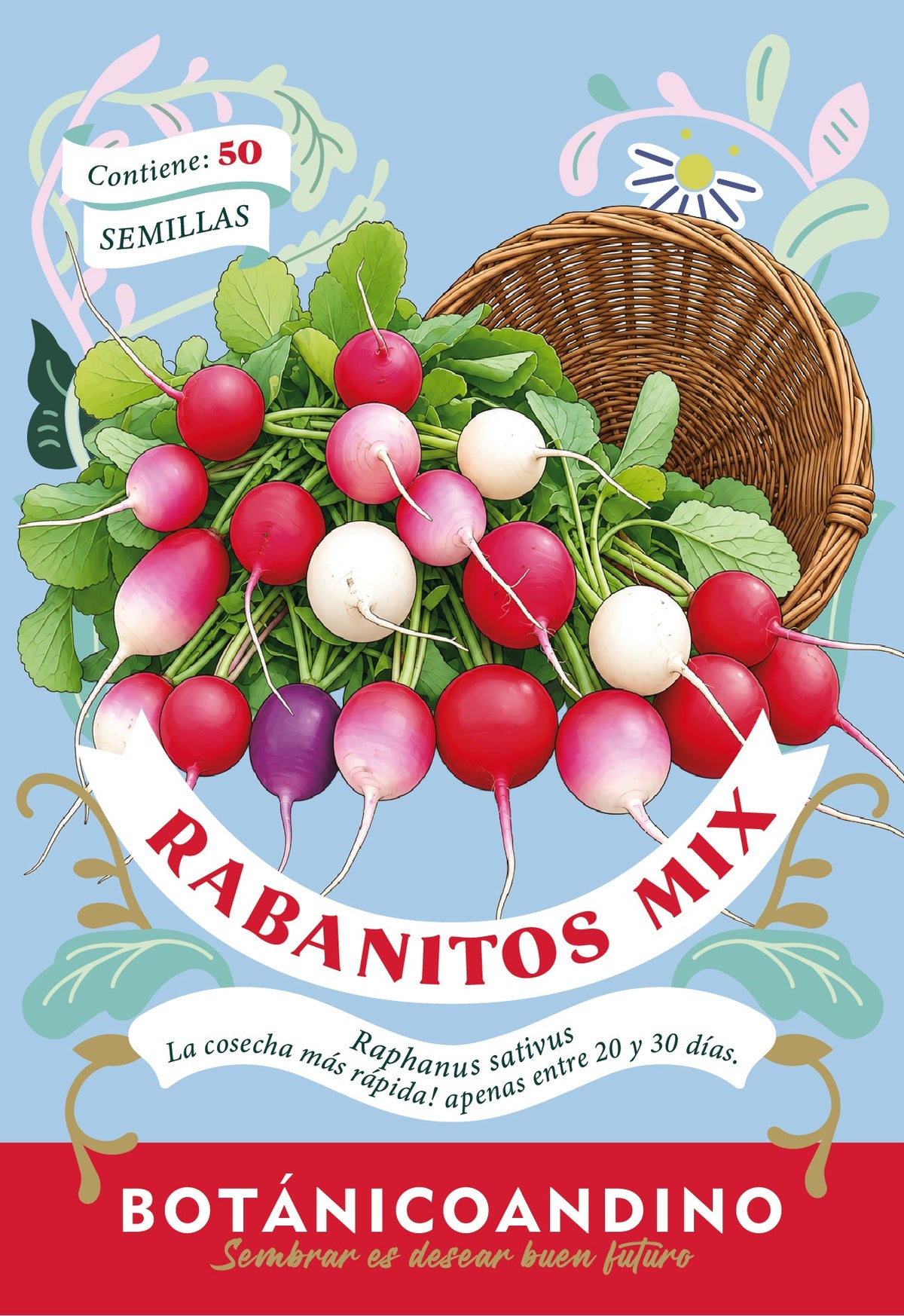 Rabanitos mix