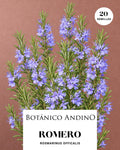 Romero