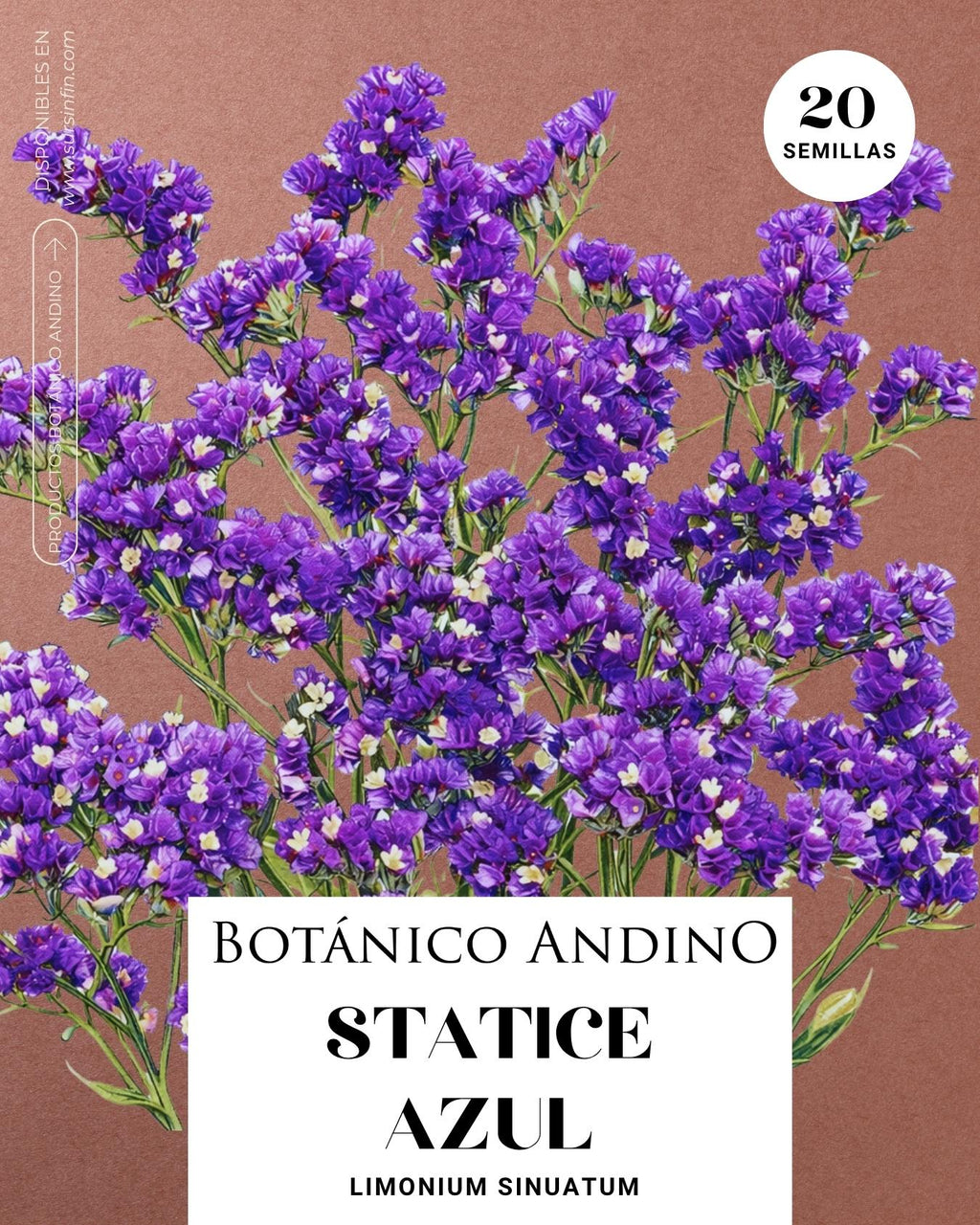 Statice azul