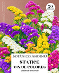 Statice mix