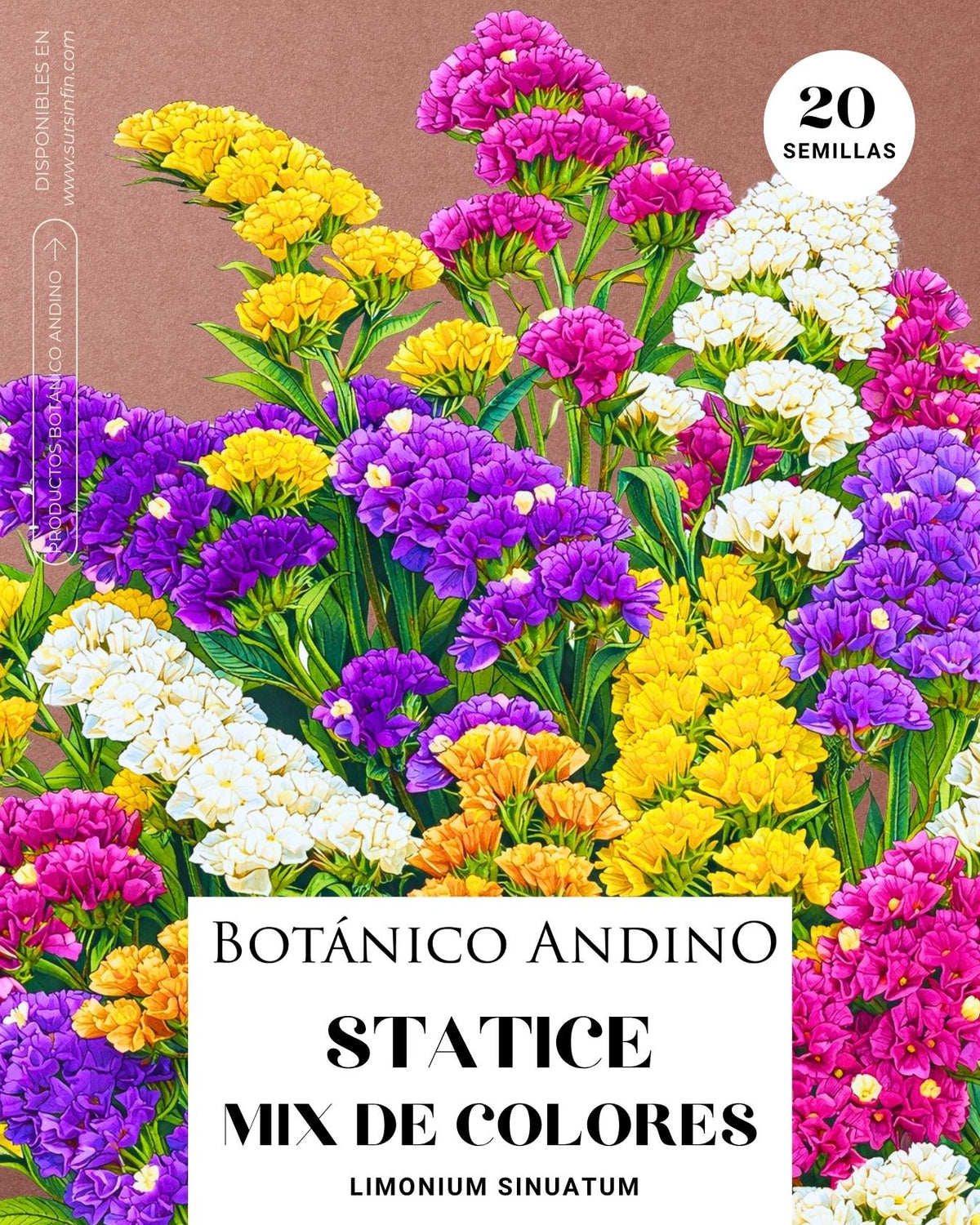 Statice mix