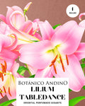 LILIUM ORIENTAL | TABLEDANCE (1 Bulbo)