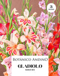 Gladiolo nanus mix (3 bulbos por pack)