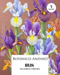 Iris hollandica tiger mix (x 4 Bulbos)