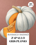 Zapallo gris plomo