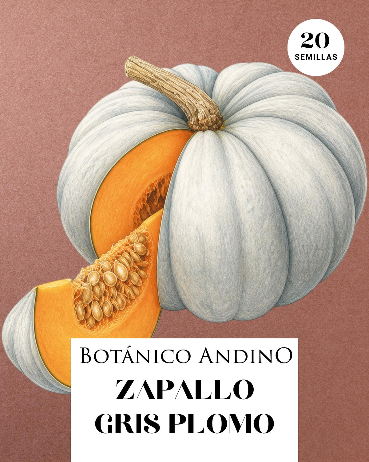 Zapallo gris plomo