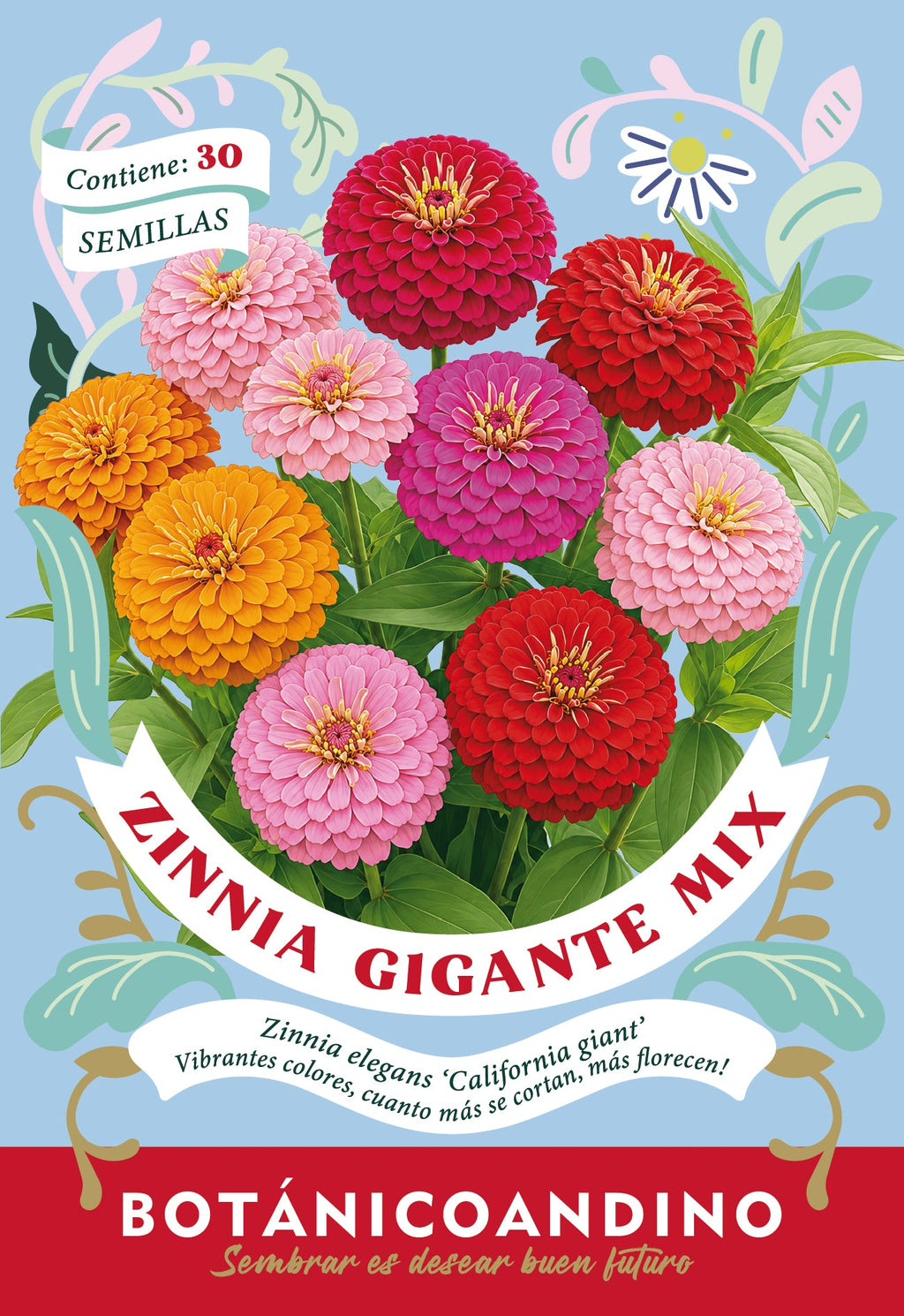 Zinnia gigante de california
